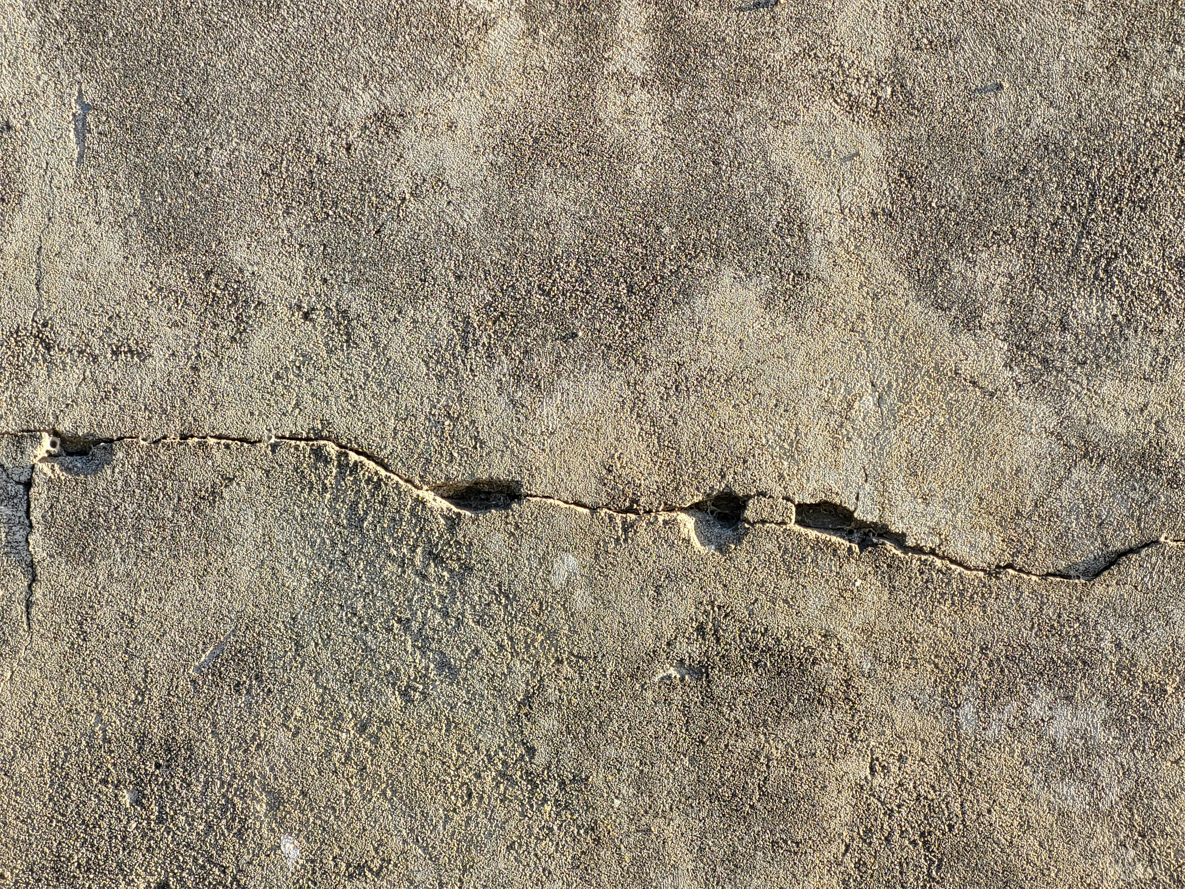 Concrete Forming and Placement